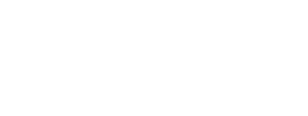 Express Koerier Logo